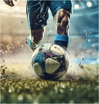 Major sporting event security